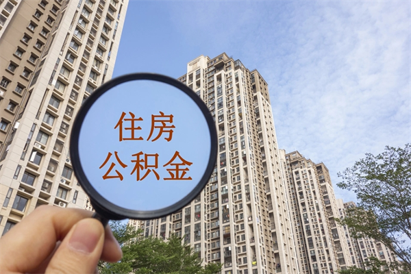 涿州辞职多久公积金可以全部取出来吗（辞职之后公积金多长时间可以取）
